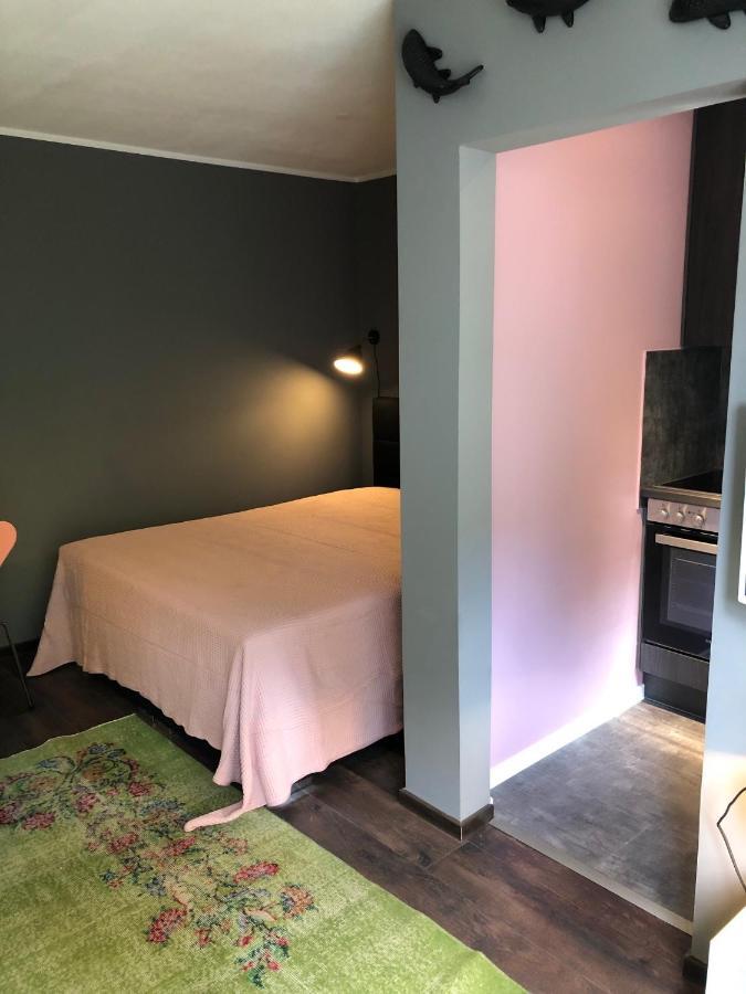 Studio Apartment In Dresden-Neustadt Ngoại thất bức ảnh
